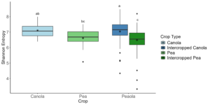 Figure 8. boxplot showing the diversity of rhizosphere microbial communities.