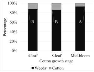 Sheep grazing time spent eating weeds vs. cotton at different cotton growth stages.