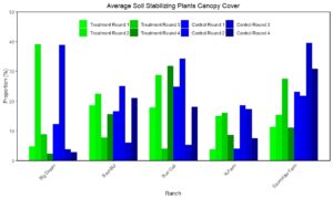 soil stabilizing plant plot