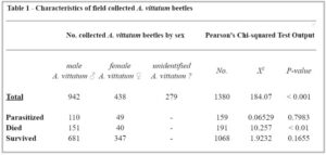 Table 1 - Table displays the abundances of male and female A. vittatum beetles collected as well as the number of individuals that yielded a parasitoid offspring (Parasitized), the number that died without yielding a parasitoid offspring (died), and the number that survived isoaltion period (Left). On the right we highligh the number of number of individuals, X2 value, and significance of our observed ratios between male and female A. vittatum beetles across subgroups (Right). 
