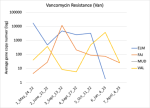 Vancomycin resistance