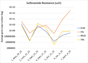 Sulfonamide resistance