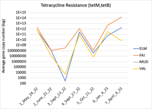 Tetracycline resistance