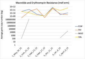 Macrolide and erythromycin resistance 