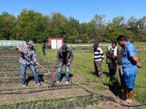 Farmers gather around test plot. Staff member Shahab Bashar holds a flex tine weeder and Dr. Sam Wortman coaches on its' use.