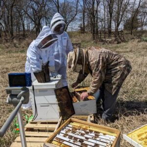 three beekeepers in the field