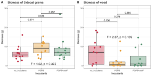 Biomass of Sideoats grama (A) and other plants (B) in greenhouse experiments.