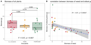 biomass and corrlation