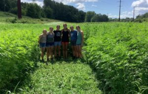 FFA Students weeding plot