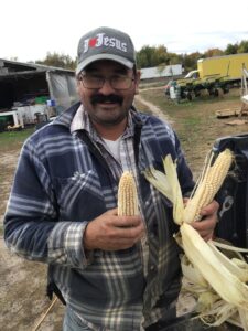 FNC23-1388 White Corn harvest
