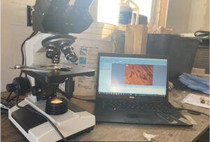 microscope and laptop on counter